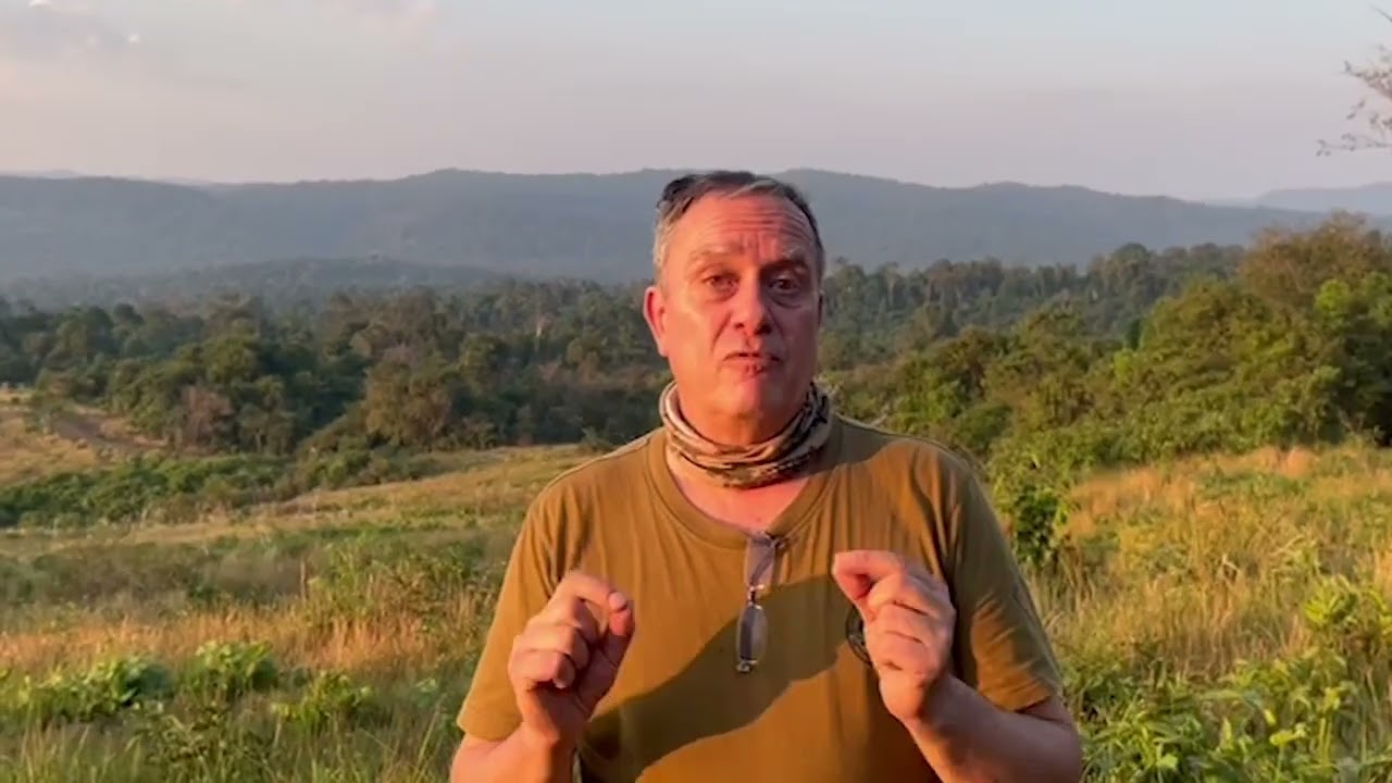 The Dark Side of the Illegal Tiger Trade - Thank You