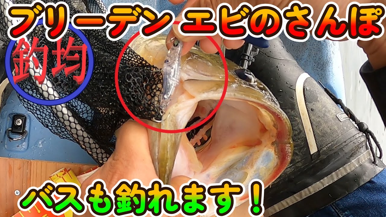 【エビのさんぽ】バスも釣れる？実釣検証。
