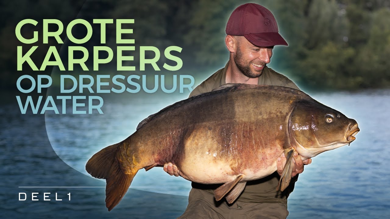 🎣 32 nachten op dressuurwater - Grote karpers in het najaar deel 1