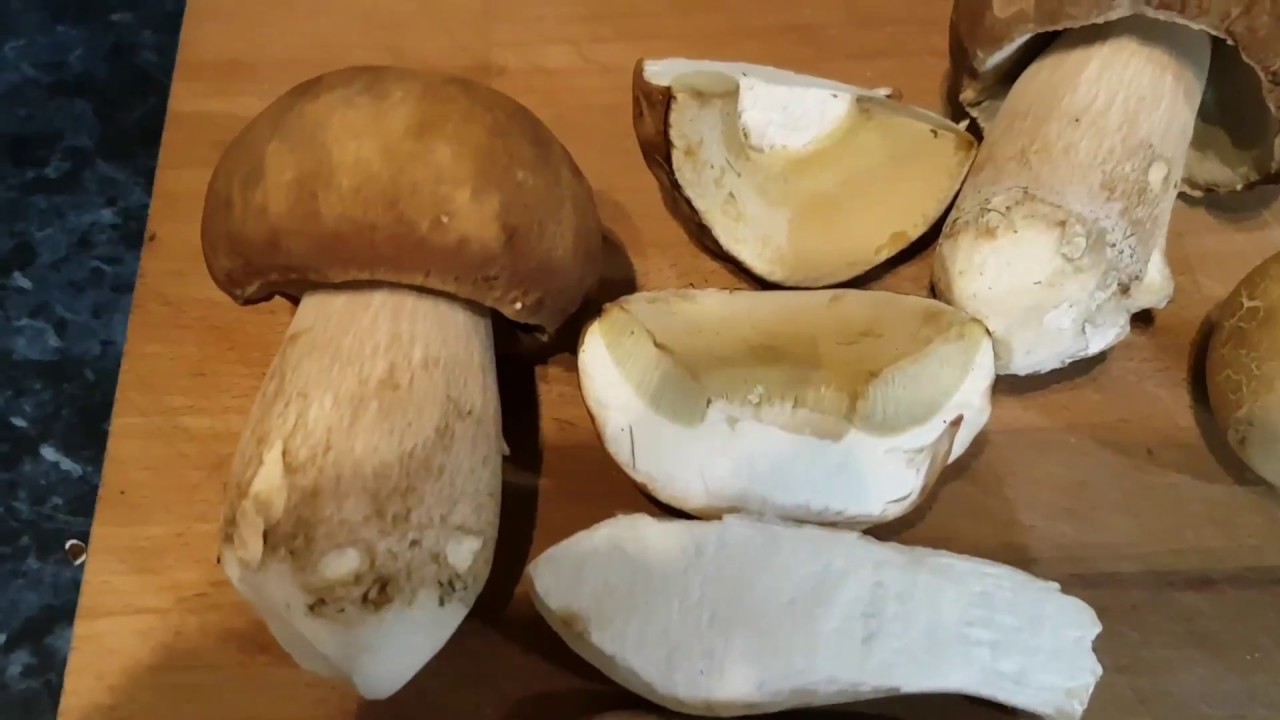 SUMMER CEP ID & TASTING UK