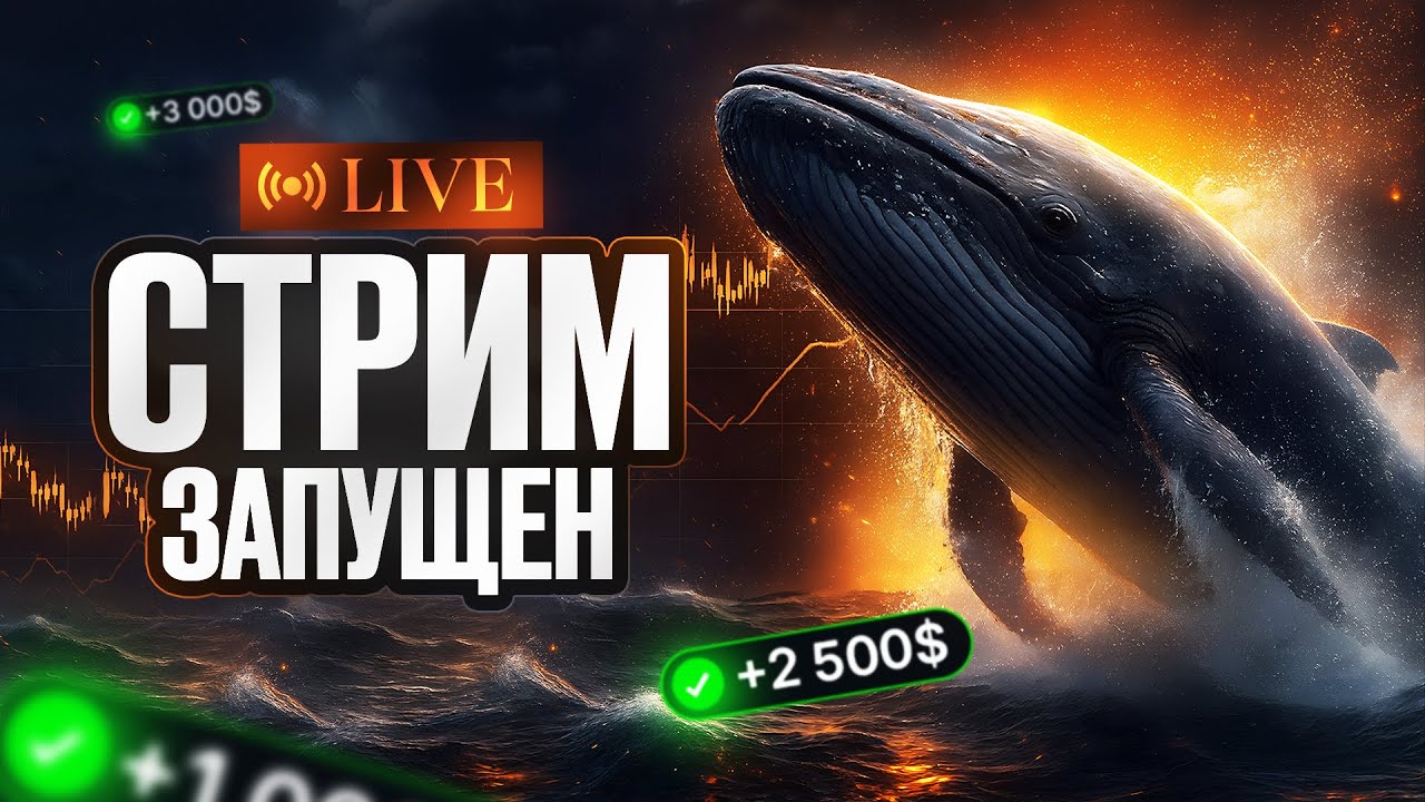 ТРЕЙДИНГ | ТОРГУЕМ НА ТРАНСЛЯЦИИ