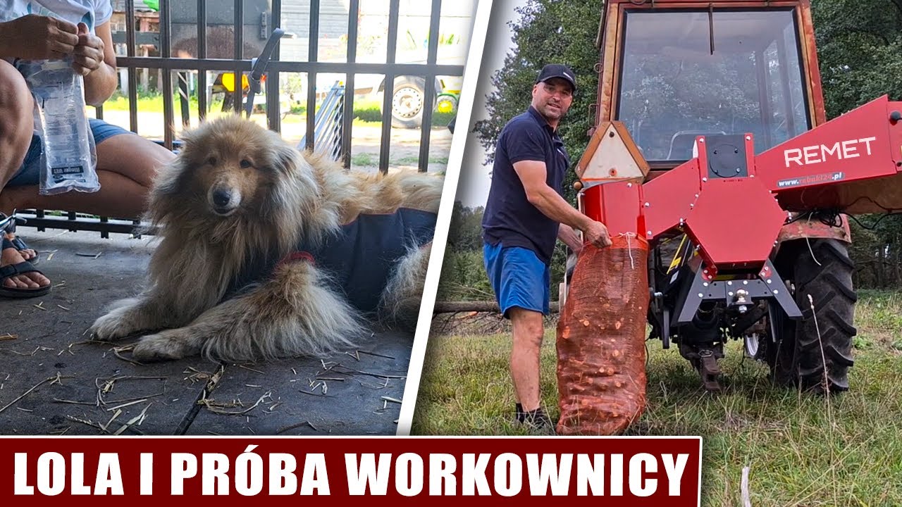 Lola i próba workownicy