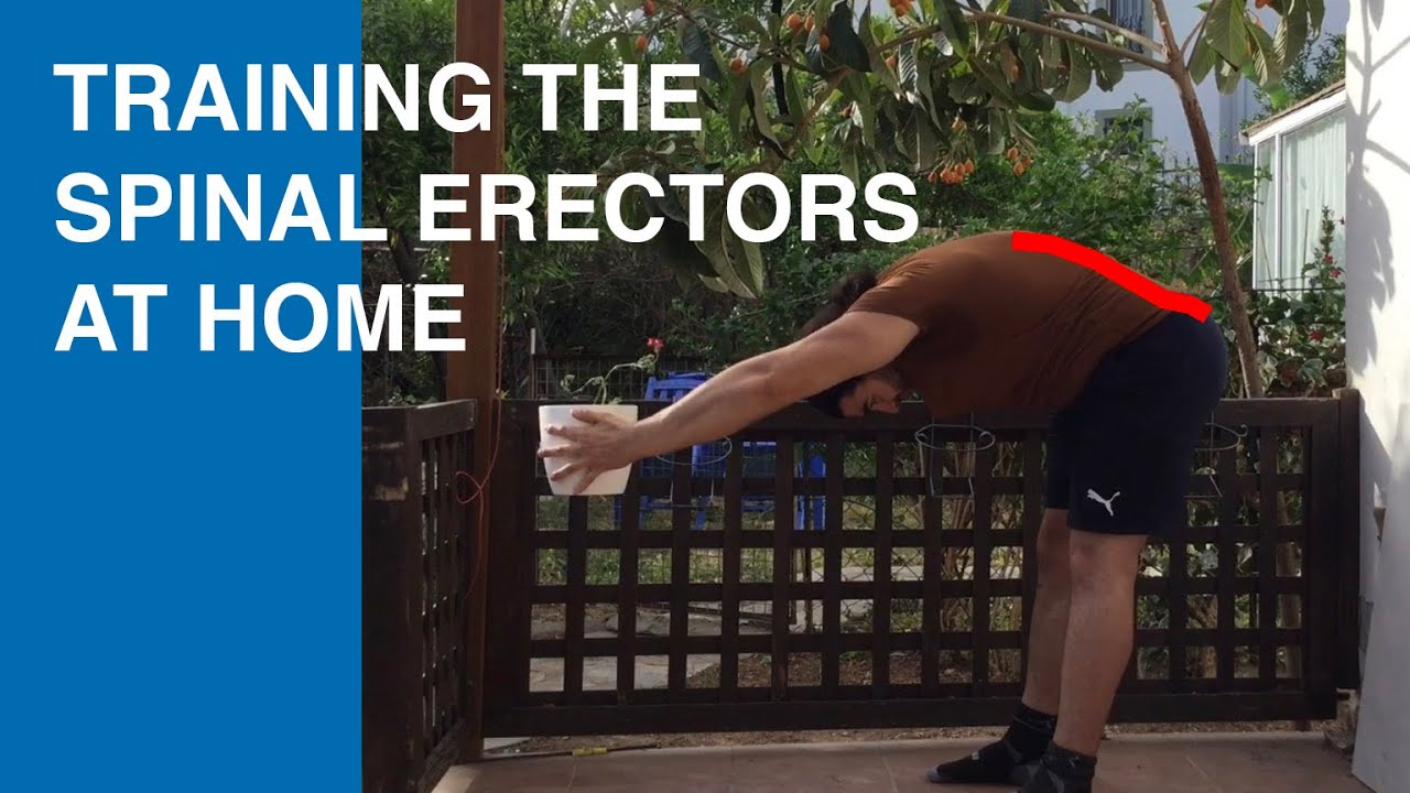 How To Train The Spinal Erectors Without Equipment