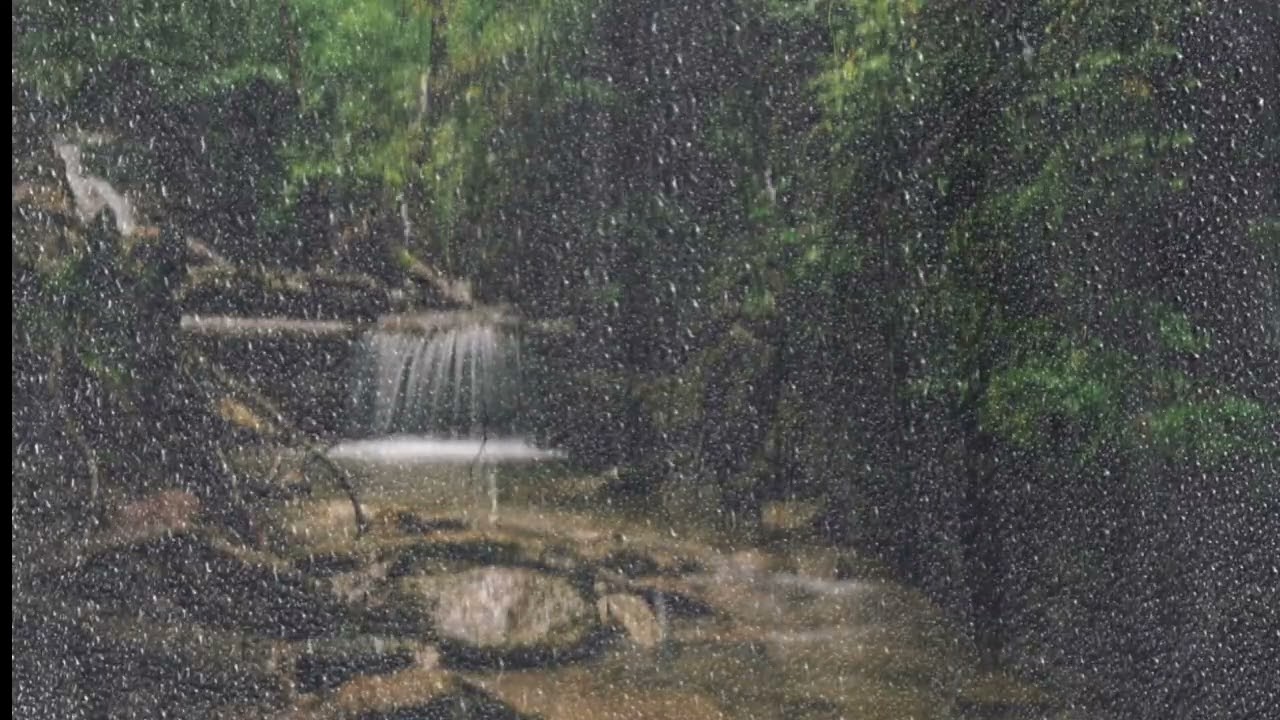 Rain in the Forest at Night 🌧️ Deep Sleep & Relaxing Nature Sounds