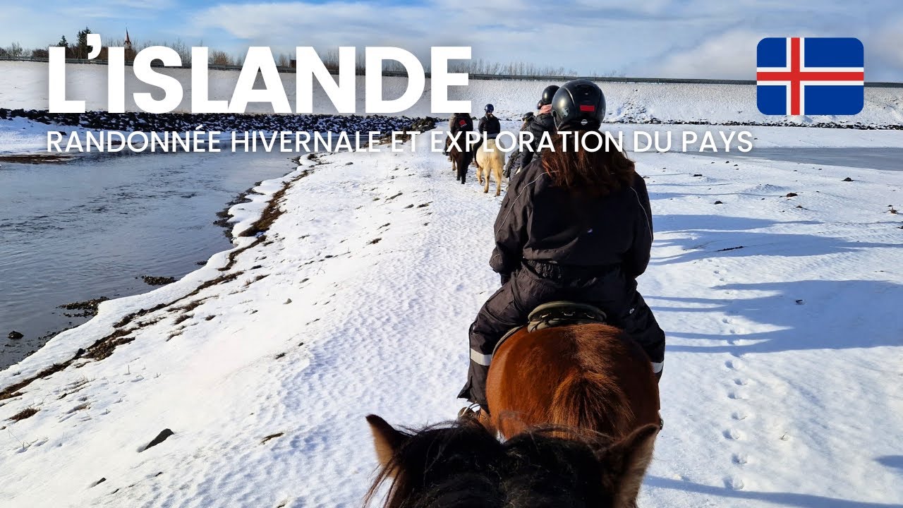 🌍🐋 [ISLANDE] – Randonnée équestre hivernale et découverte du sud de l'Islande