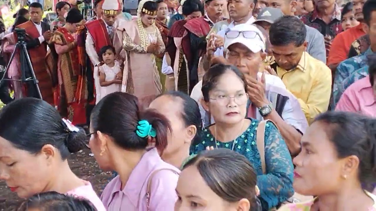Pesta adat NAPIT LODER UMBUL MAS