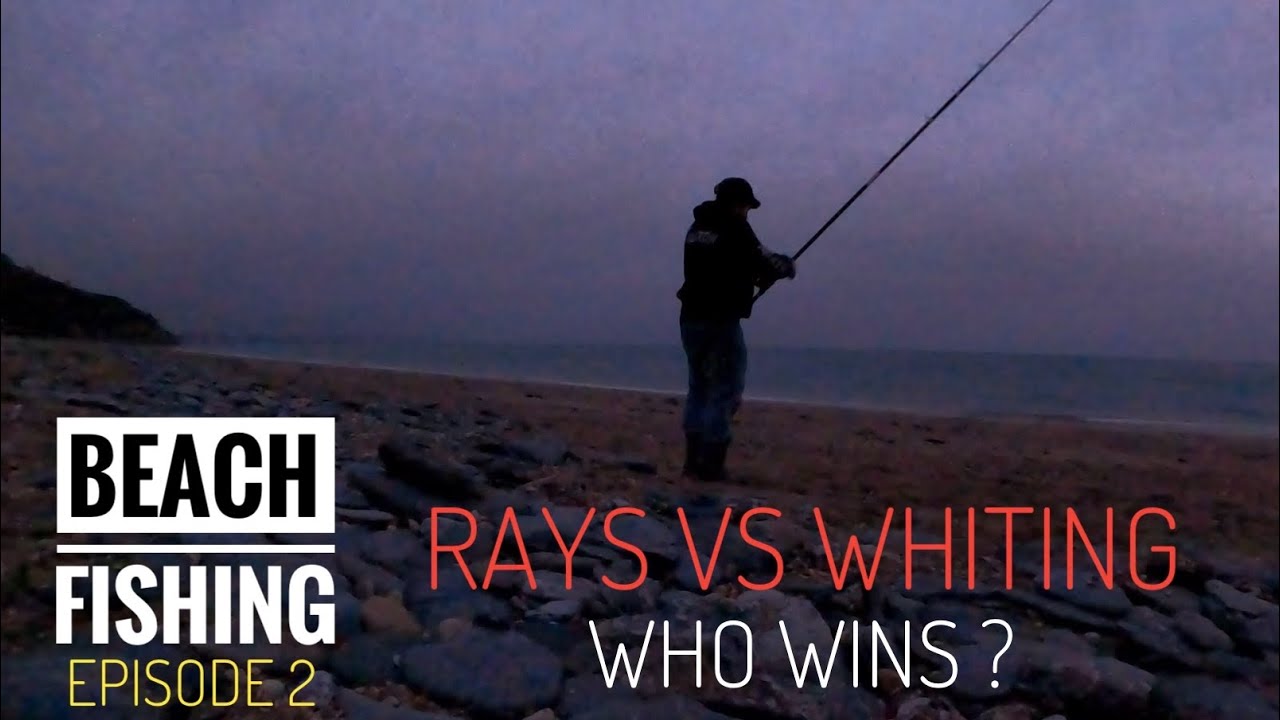 FISHING BEACH : EPISODE TWO  ( RAYS VS WHITING WHO WINS? ) | SEA FISHING UK