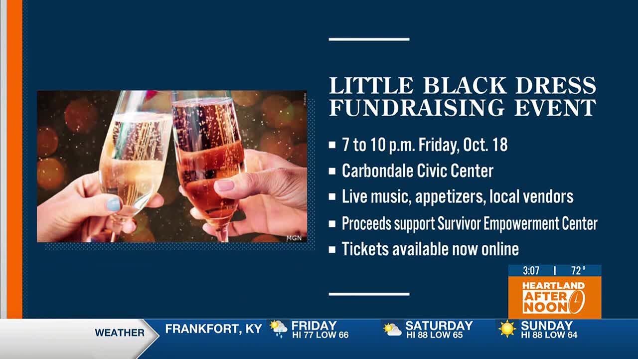 Little Black Dress Fundraiser raises money for Survivor Empowerment Center