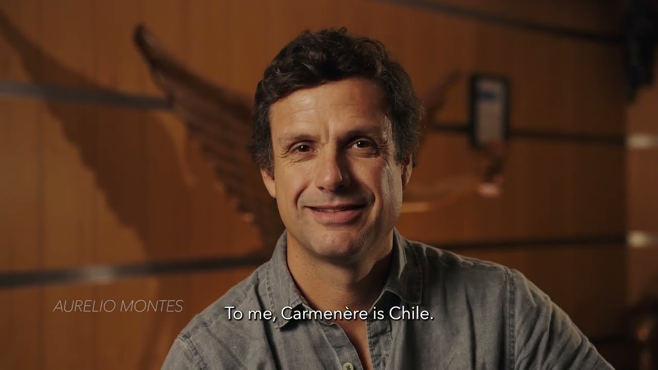 [EN] Purple Angel with Aurelio Montes | Montes Wines