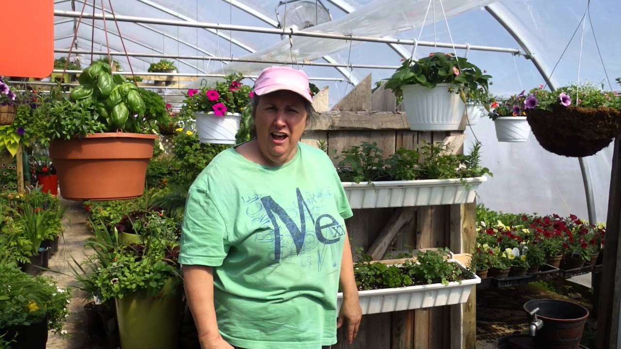 Comment se faire un jardin urbain - capsule hebdomadaire 9 2016 - Marthe Laverdière