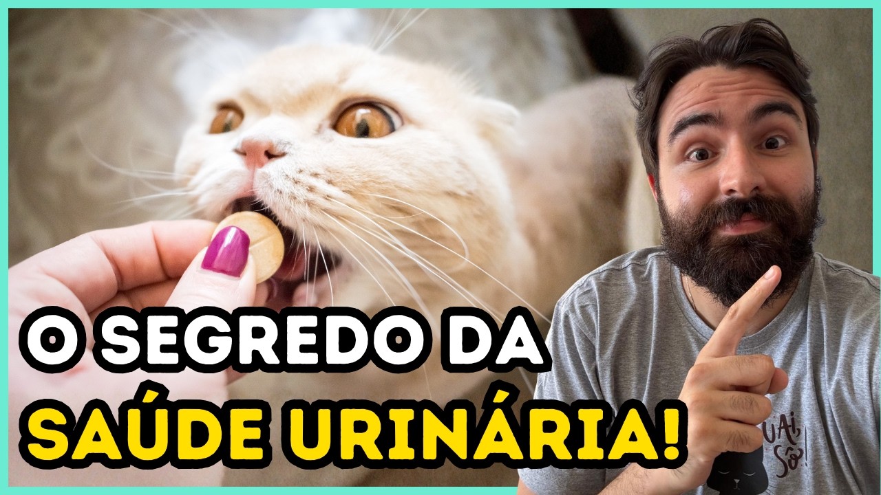 Um SIMPLES HÁBITO Que Muda 106% a Saúde URINÁRIA Do Seu Gato!