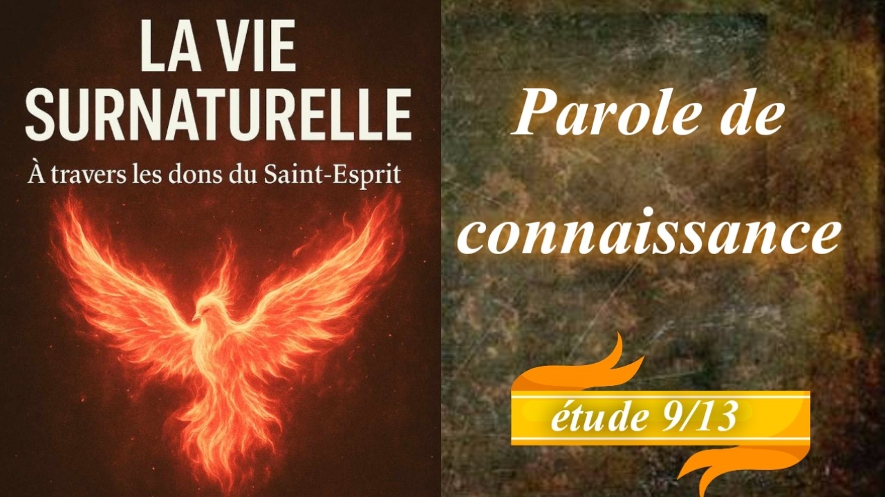 Parole de connaissance | L'ambassade en direct
