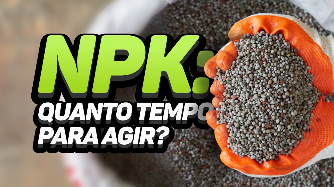 QUANTO TEMPO O NPK DEMORA PARA AGIR E ALCANÇAR A CAMADA DE 0–20 CM DO SOLO?