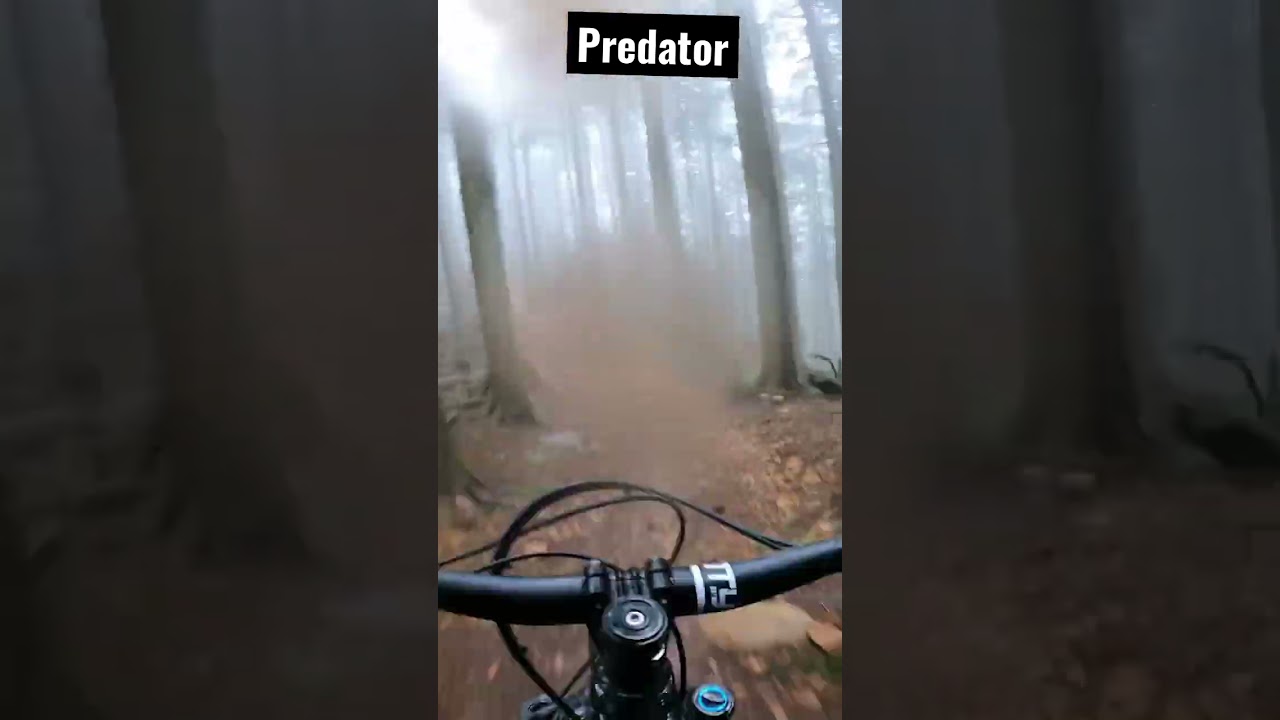 Predator, a downhill #MTB Playground in the #pnw #mtblife #trailride