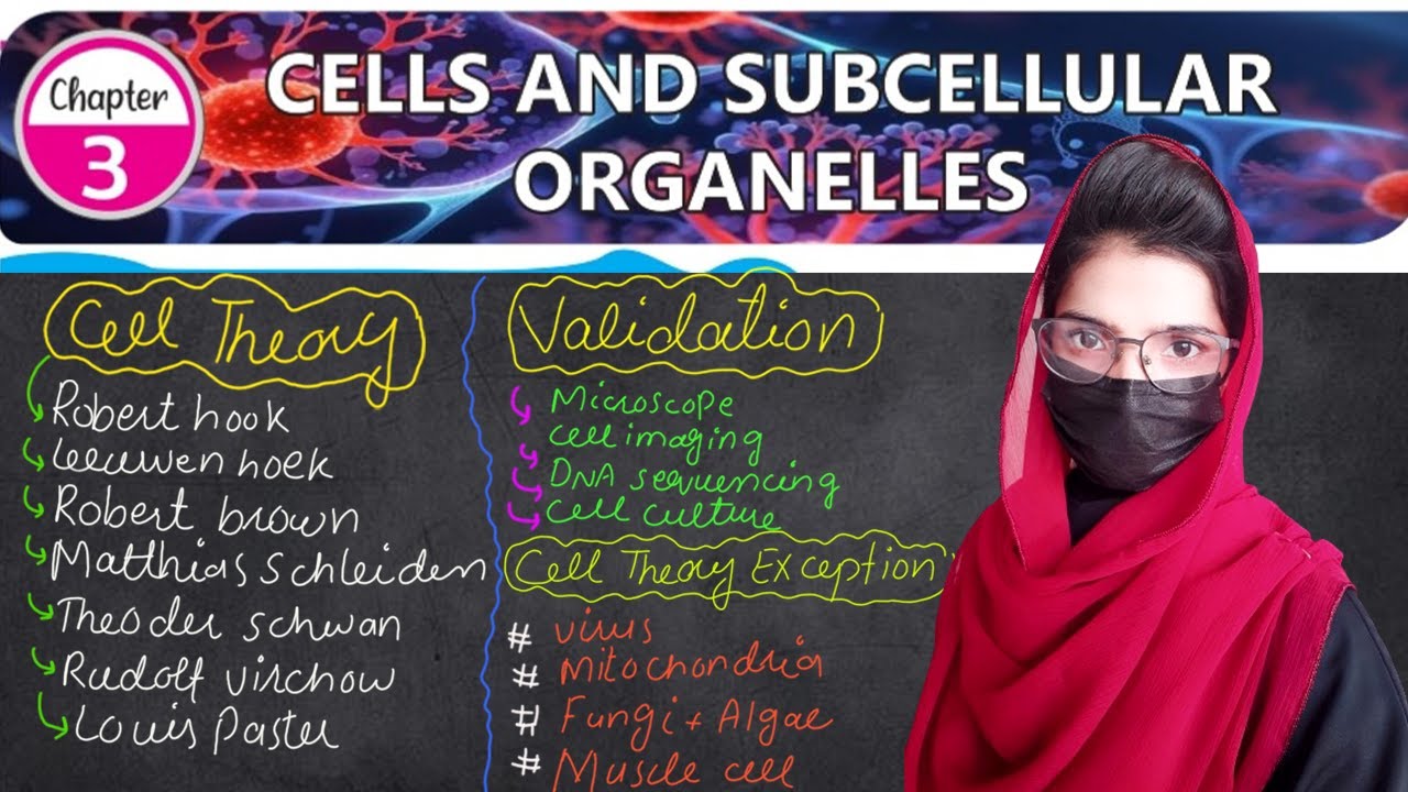 cell theory calss 11 | chapter 3