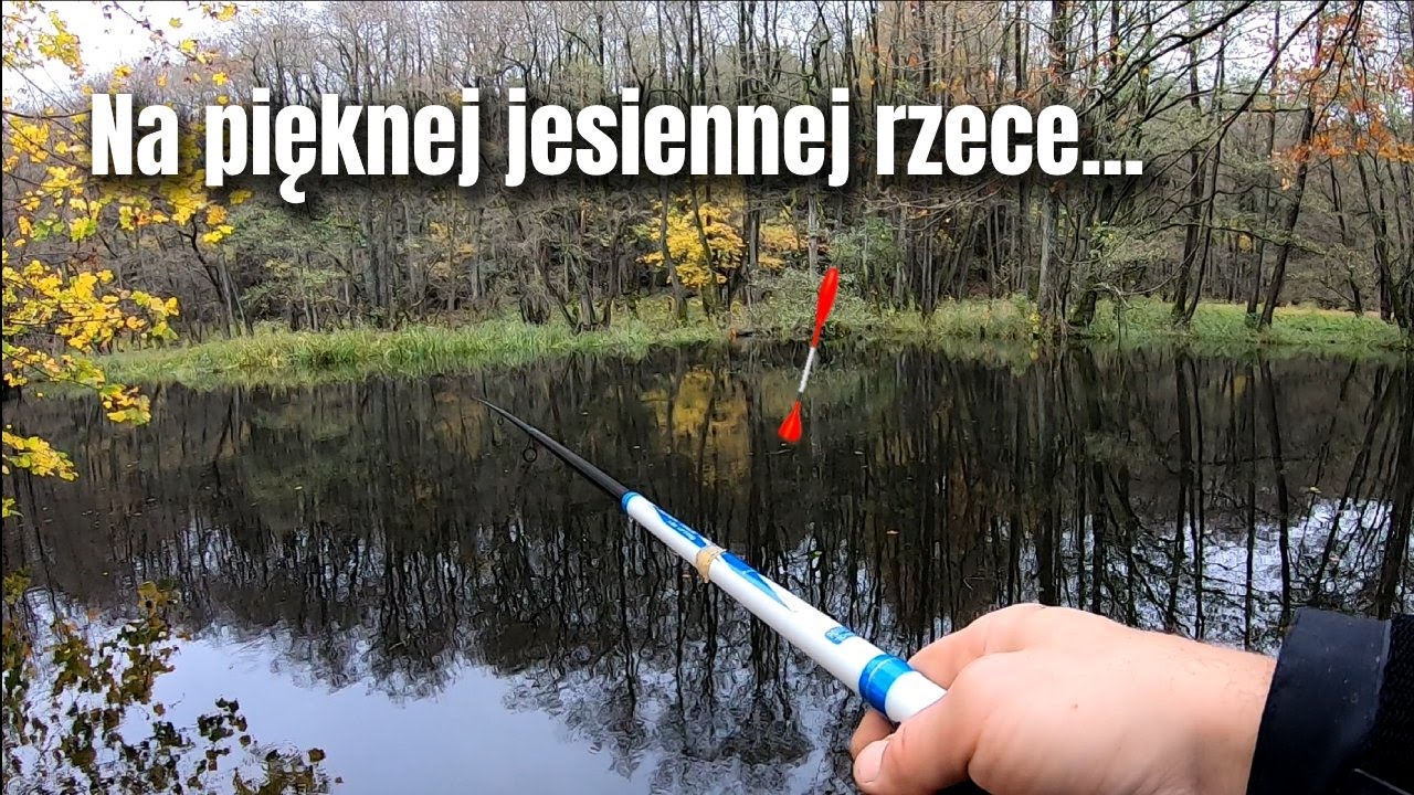 Wpierw na spławik, później na spining | PŁOĆ SZCZUPAK OKOŃ