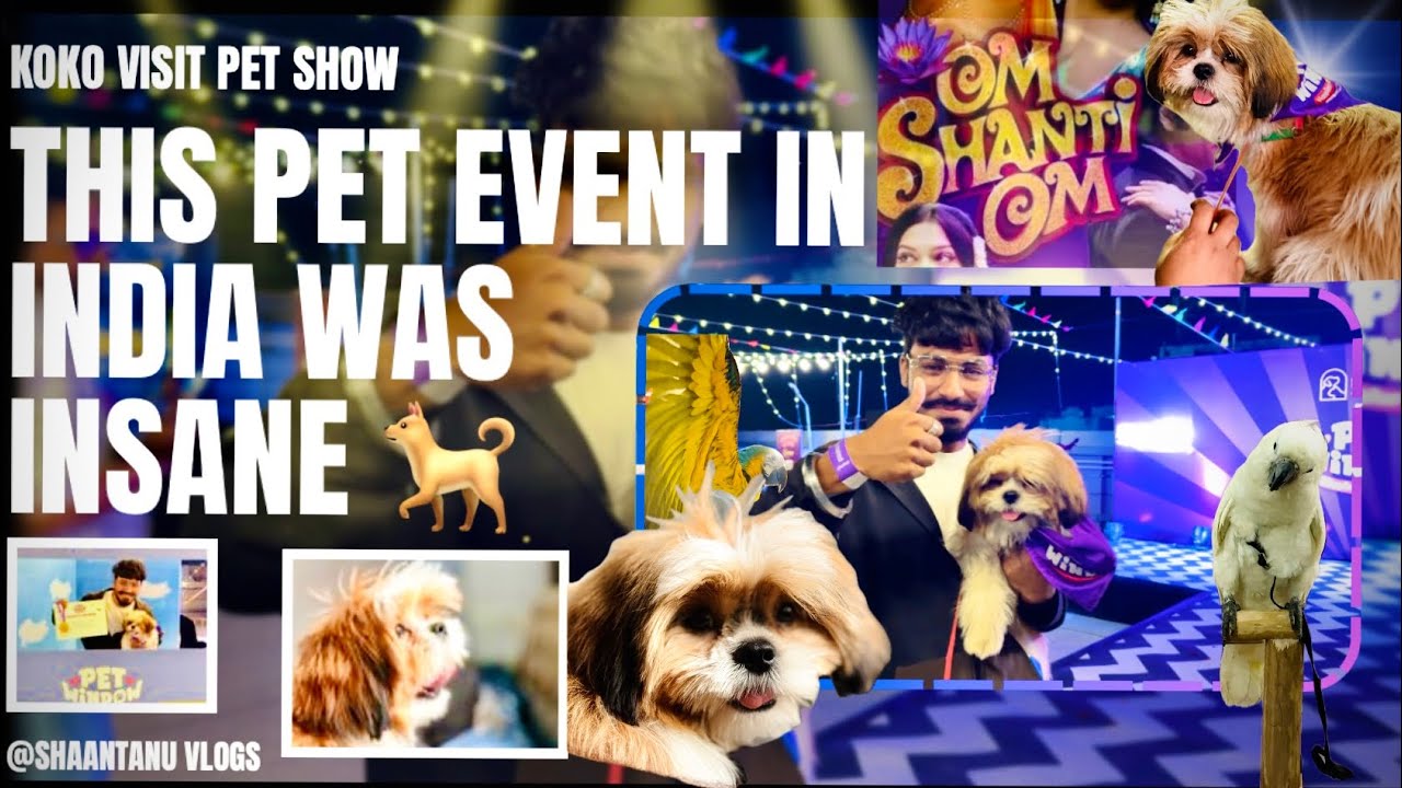 India’s Biggest Dog Event 🇮🇳🐕 | All Dog Breeds at Ahmedabad One Mall | Shih Tzu Koko Steals the Show