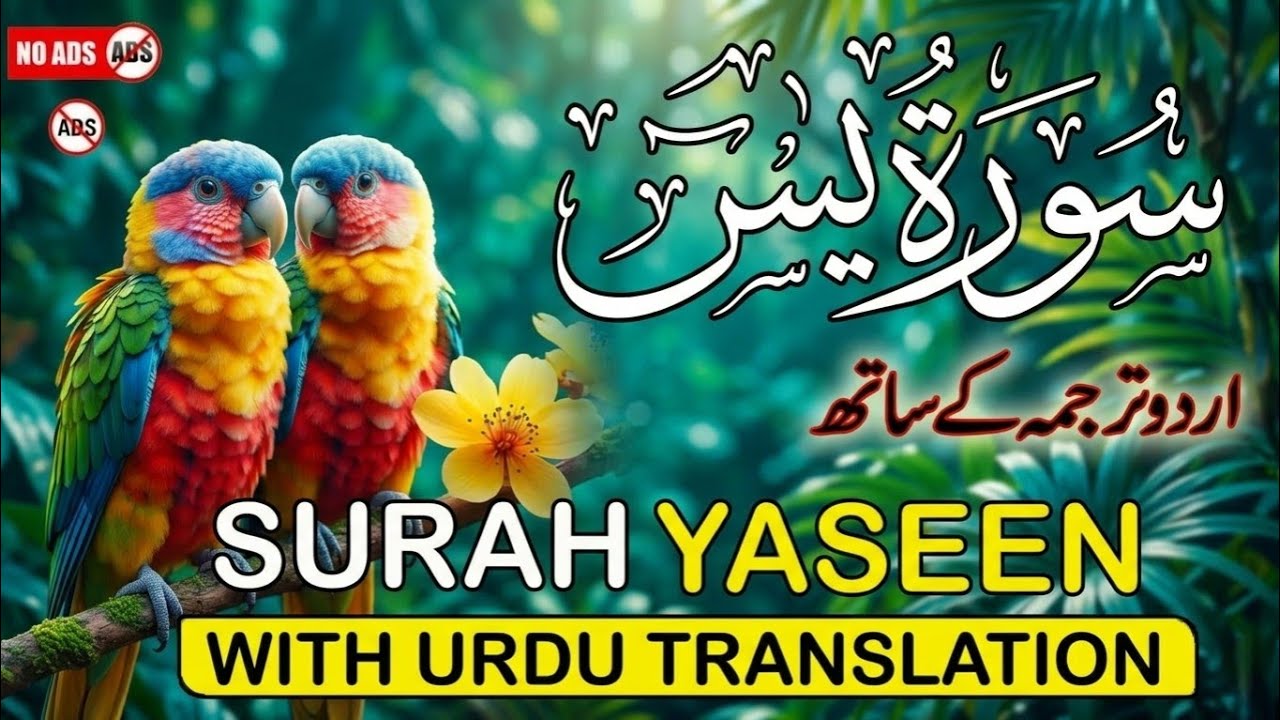 Surah Yaseen with Urdu Translation by Qari Ismail Al Nouri | Heart-Soothing Recitation | Episode 330