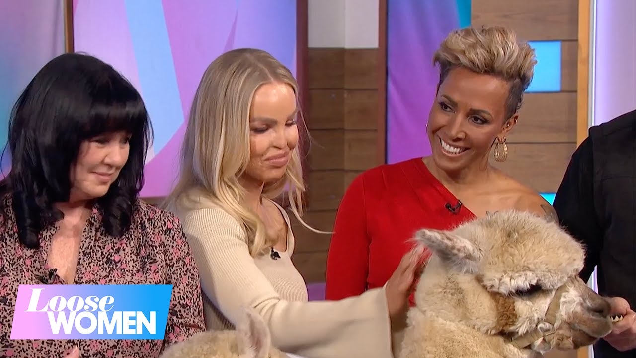 Alpacas Make A Special Therapy Visit To The Loose Women Studios! | Loose Women