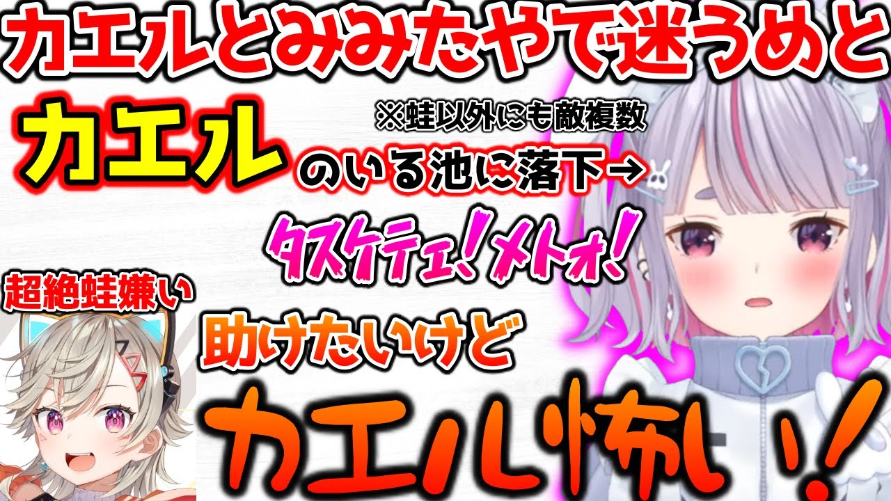 カエルに怯えるめとと、必死に助けを求めるみみたや【ぶいすぽっ！切り抜き】