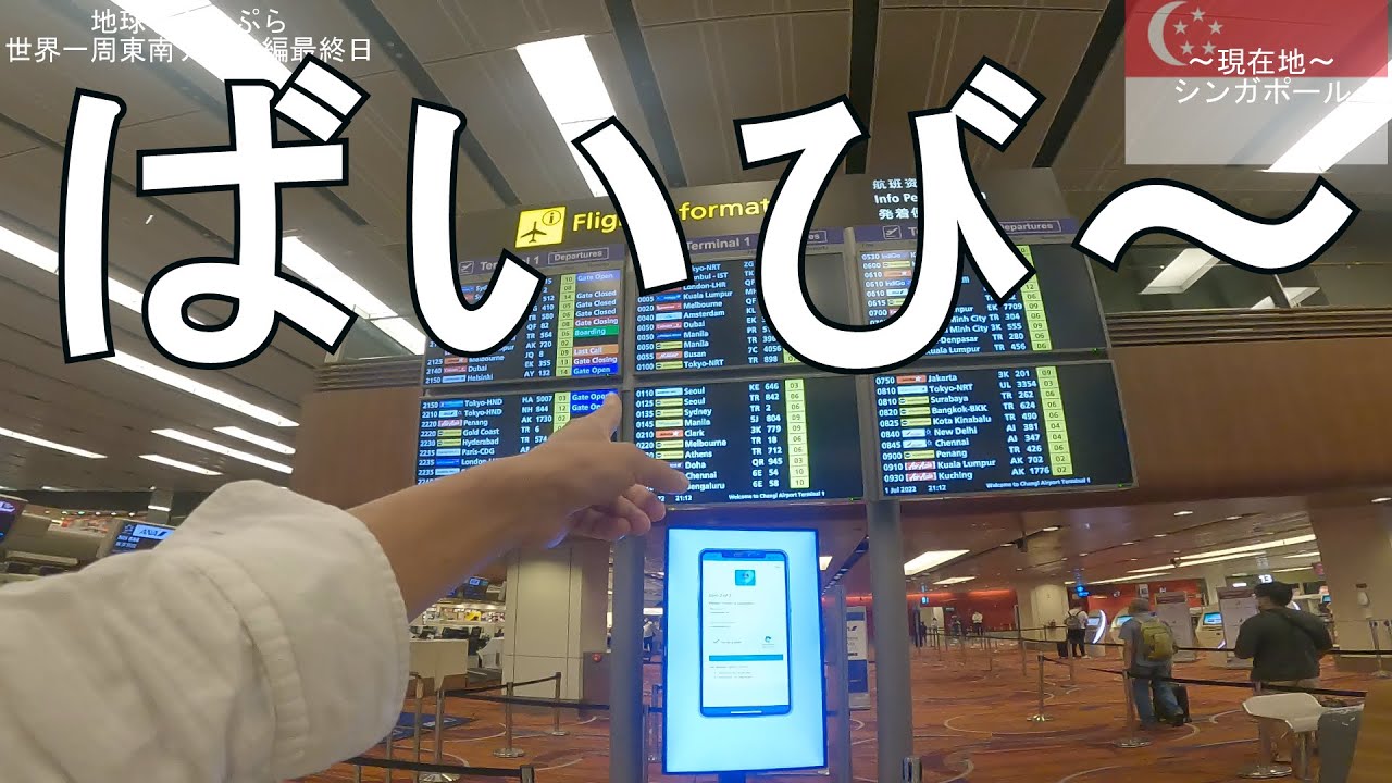 【世界一周ひとり旅59】海外に疲れたから帰国。
