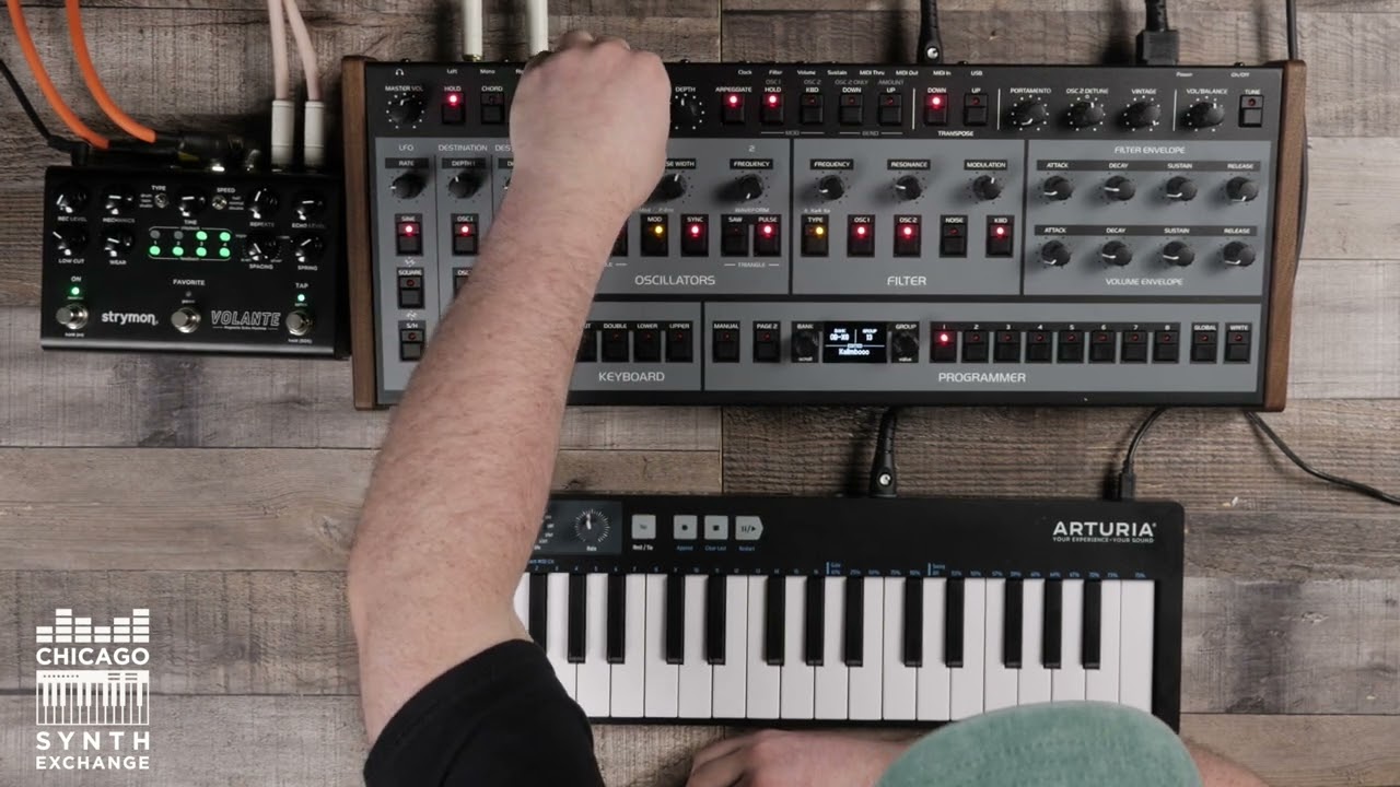 OB-X8 Desktop & Stymon Volante // Just Sounds