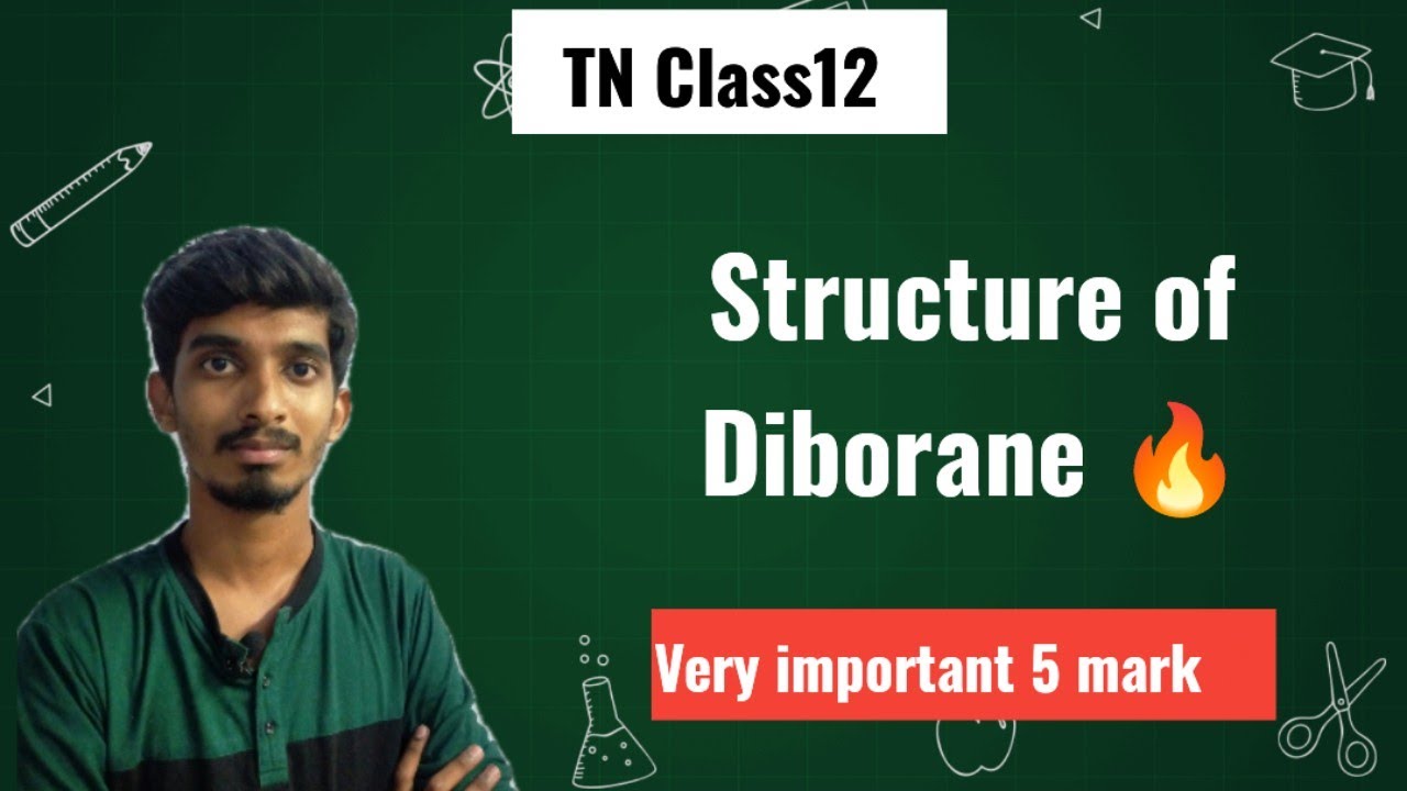 Structure of Diborane|P-Block Elements-1|Very important question|TN Class12|Chapter-2|Chemistry
