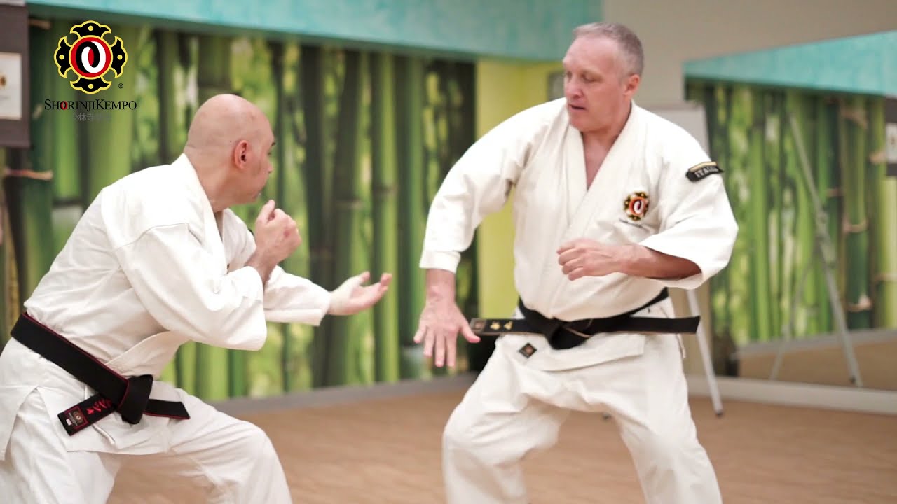 SHORINJI KEMPO / 少林寺拳法 @ Seminario tecnico 27/06/2021