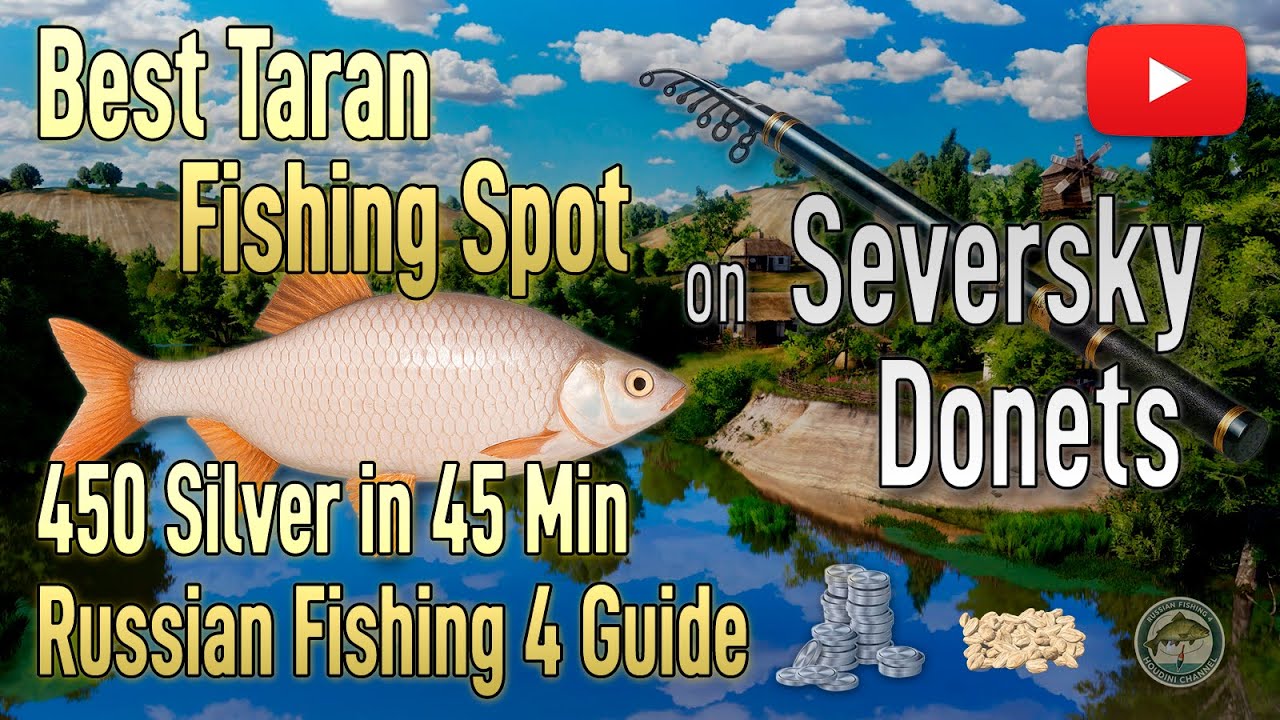 📌Best Taran Fishing Spot on Seversky Donets | 450 Silver in 45 Min &ndash; Russian Fishing 4 Guide
