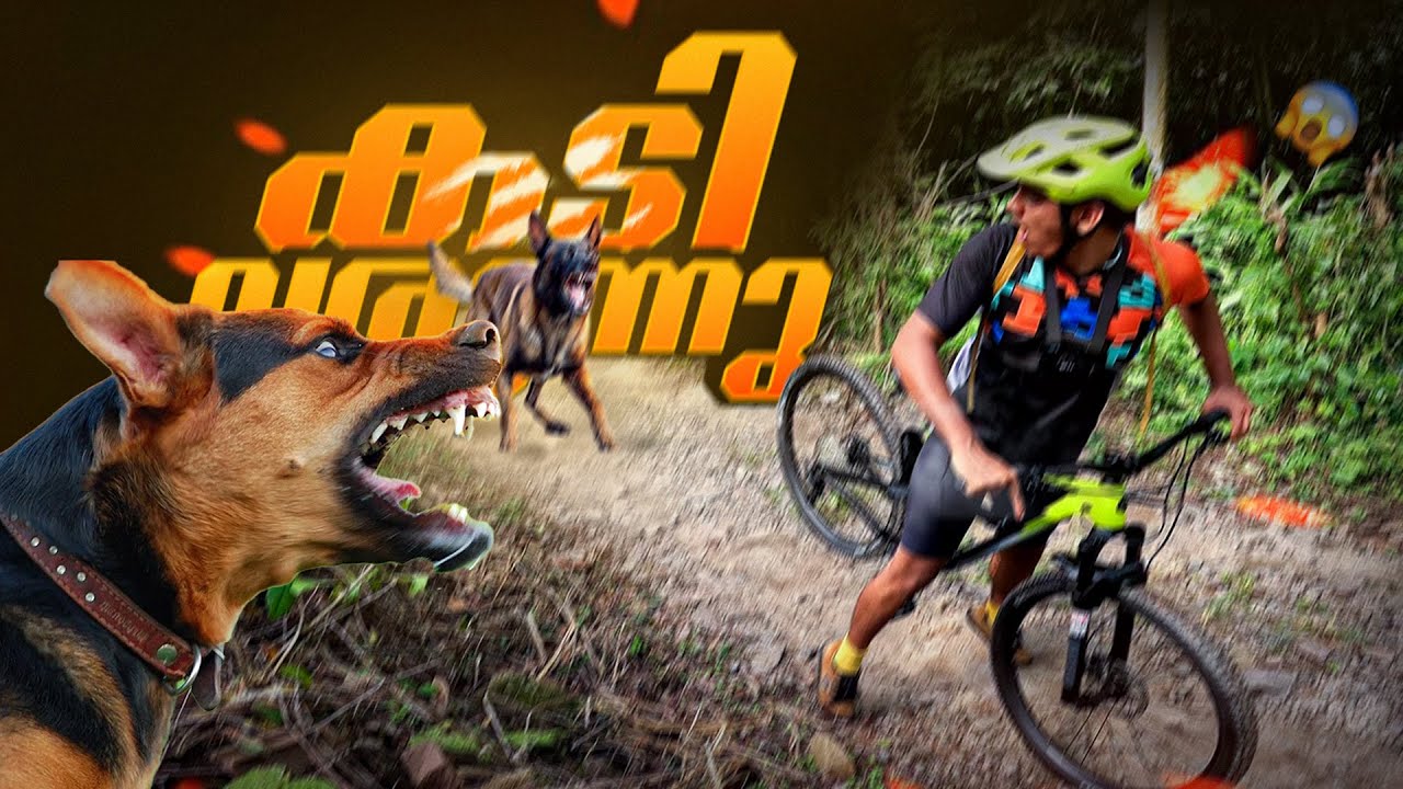 രണ്ടും ഒരുമിച്ച് കടിക്കാൻ വന്നപ്പോൾ🥵🥵Testing My New Bike|Mountain Biking |Joyal Joshy