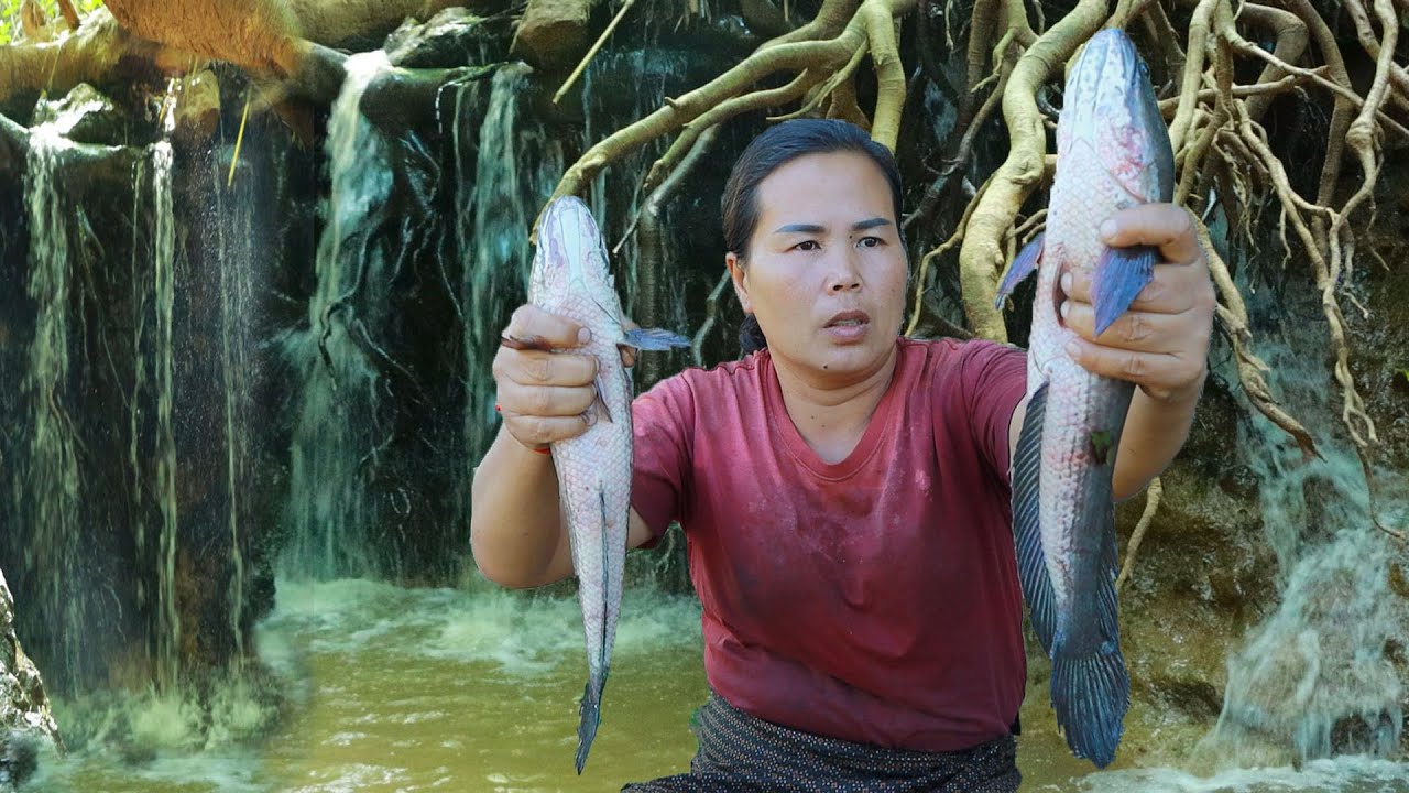 survival in the rainforest-found fishes for cook With baby corn & give to pets HD
