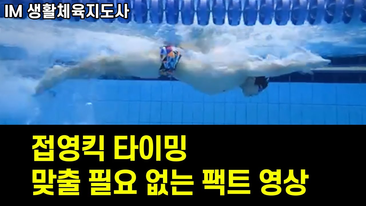 생체  im-100 l 회원 영법 완벽 분석 영상 l 돌핀킥 차는 방법 l  l 피드백 #242