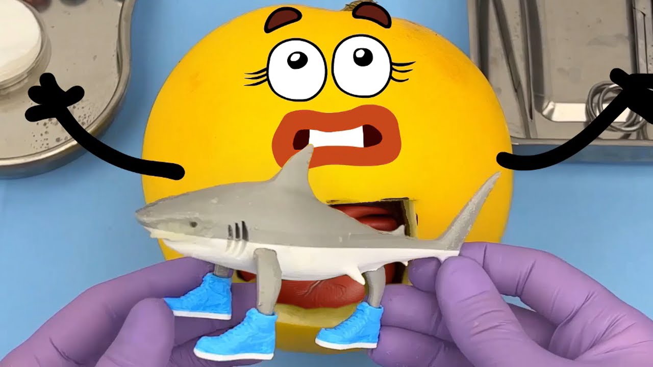 Trending Funny Doodle Accounts You Need to Follow Now
