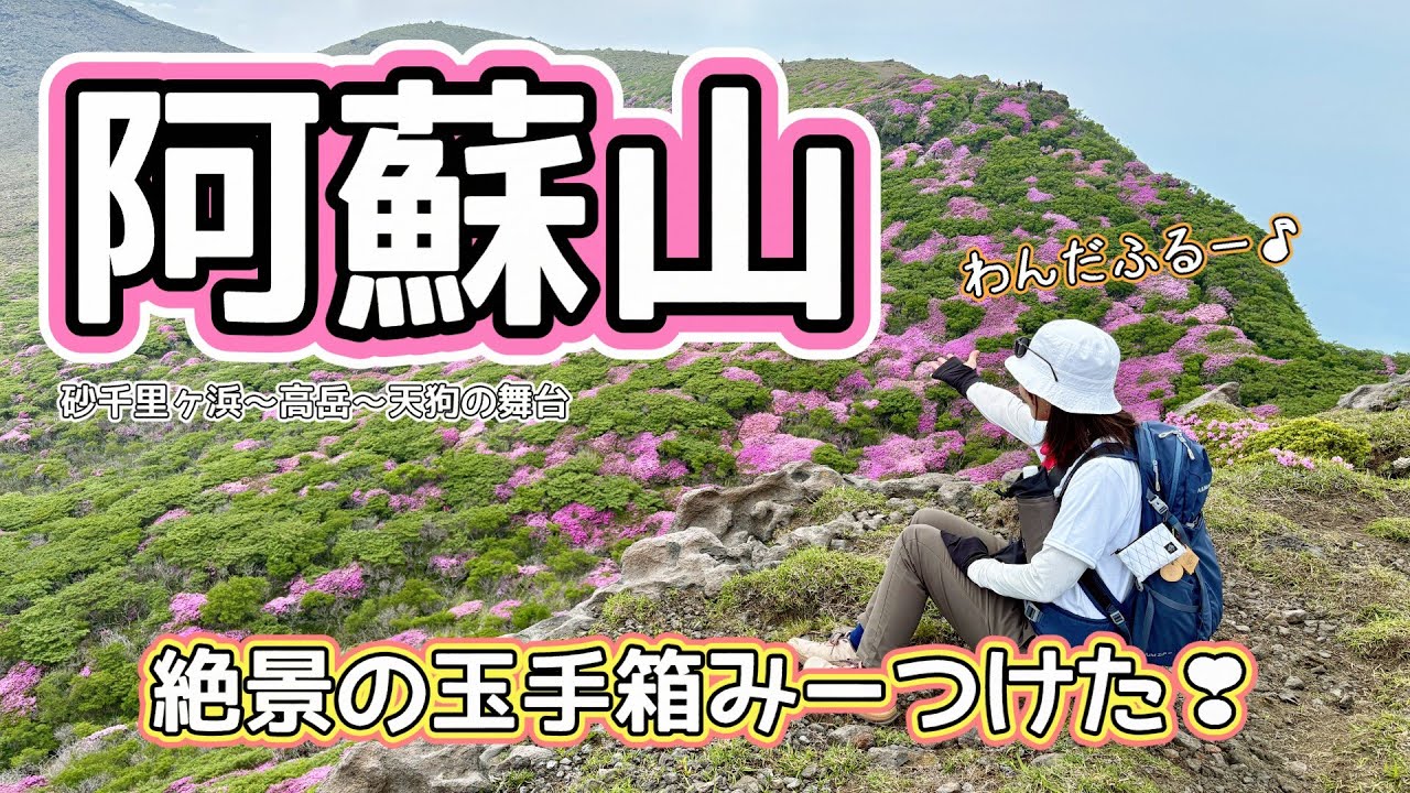 【九州百名山：阿蘇山】ミヤマキリシマが咲き誇る🌸阿蘇山の天狗の舞台でぷらり舞してきたよ😆