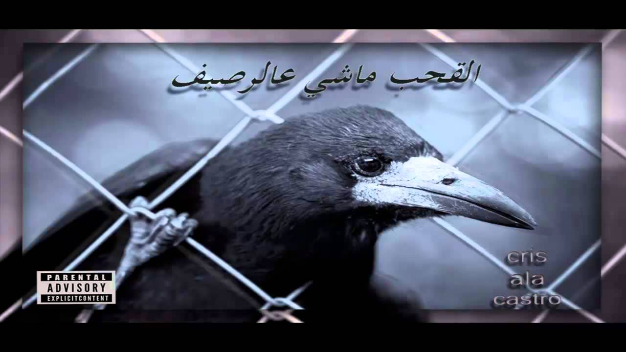 Cris . ala . Castro القحب ماشي عالرصيف 2014