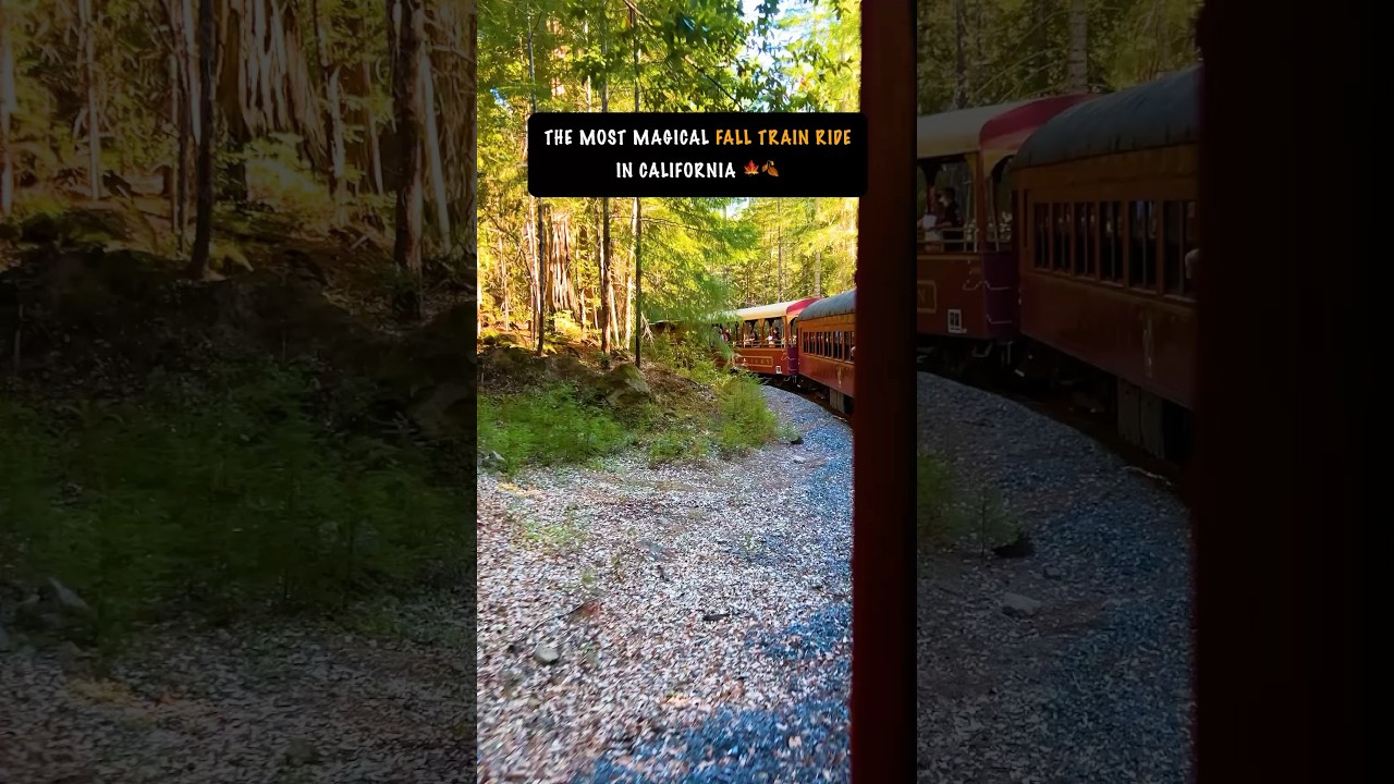 Is this the most magical fall train ride? 😍🍁
