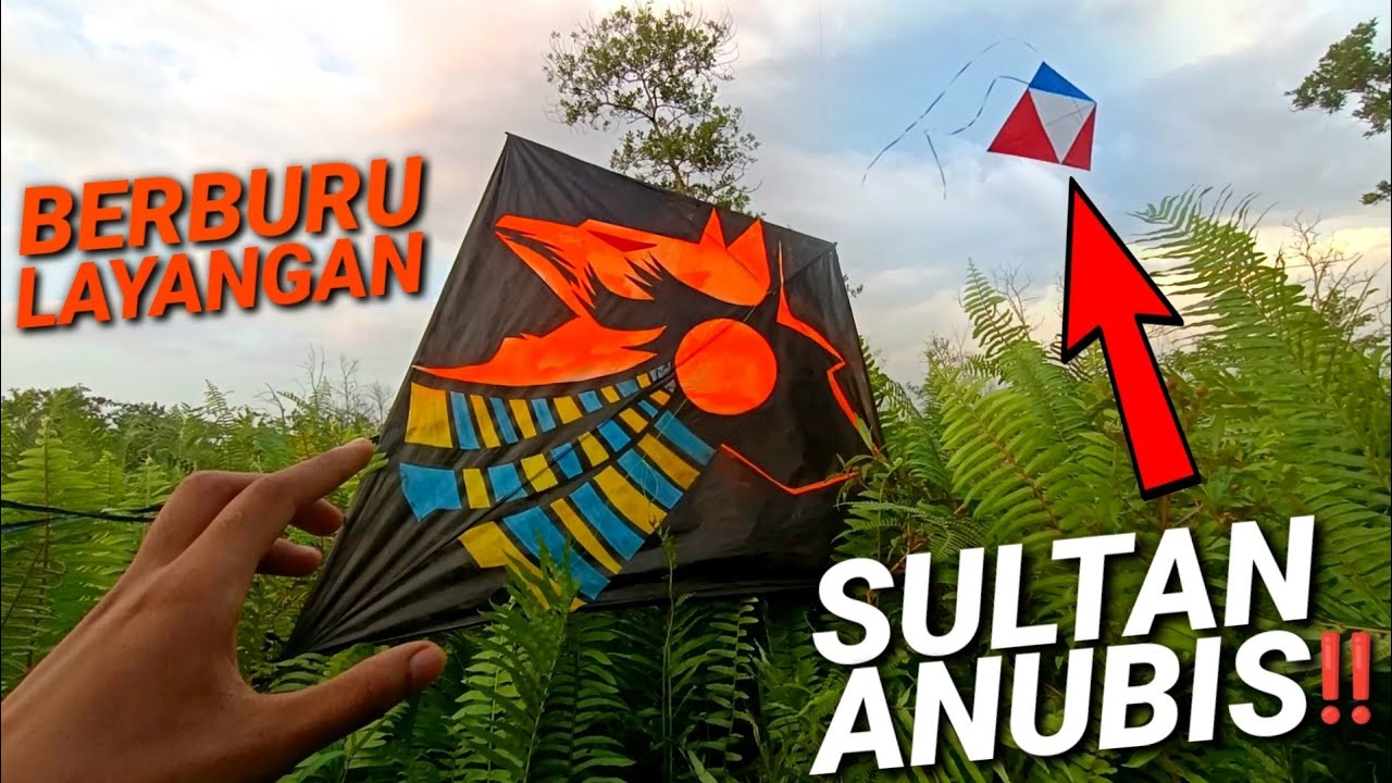 LAYANGAN INI CUMA ADA BEBERAPA EKOR DI DUNIA !!