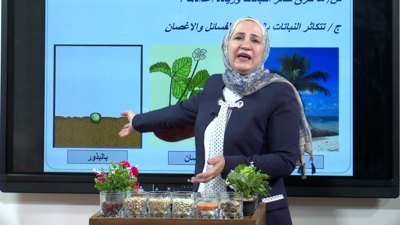 العلوم - الاول الابتدائي - الفصل الثاني النمو و التكاثر في النباتات الجزء الاول