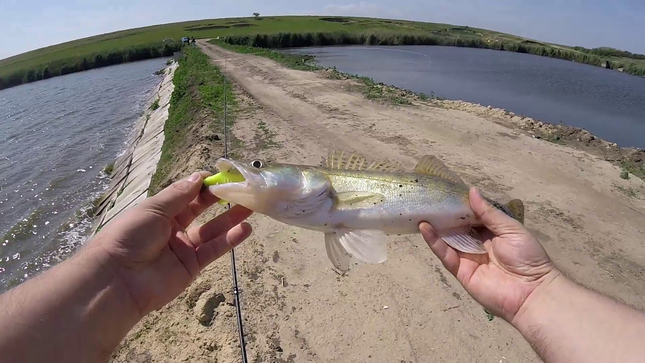 Pescuit la salau pe balta privata