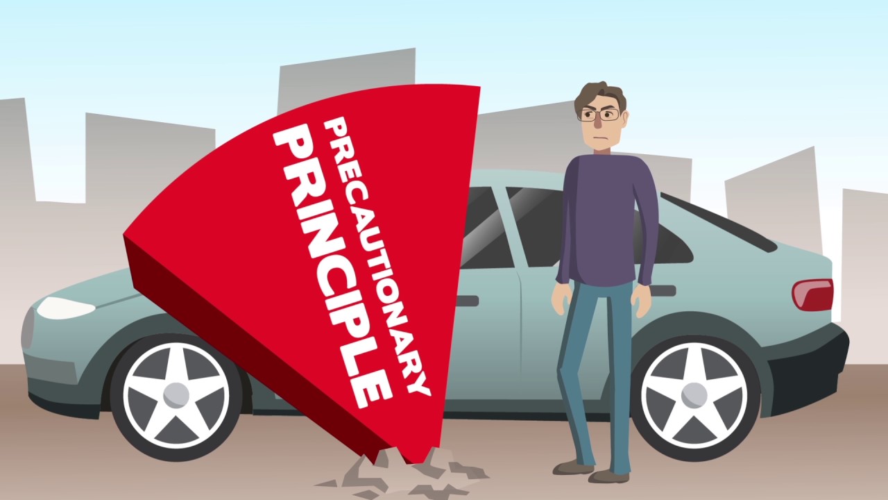 The Precautionary Principle - Climate Change Debate Animation