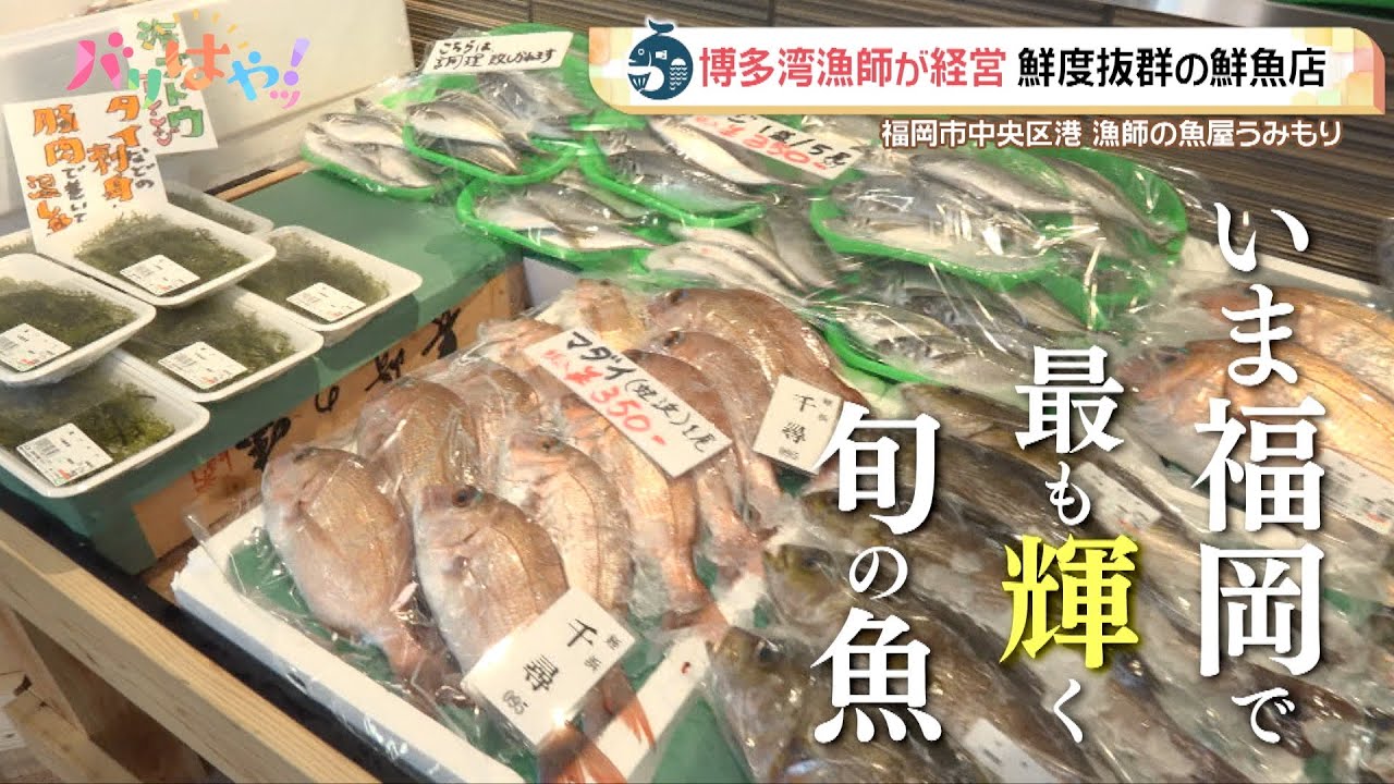 【特集】博多湾漁師が経営する鮮度抜群の鮮魚店（2025/6/10）