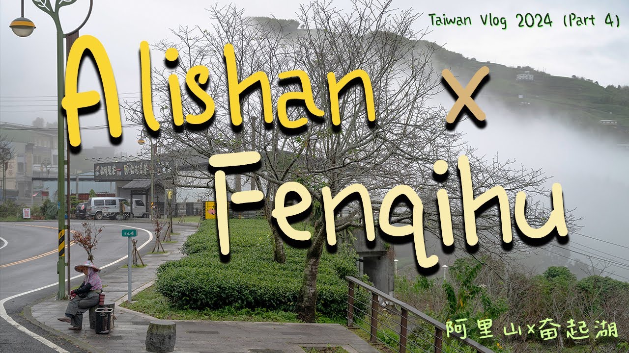 Taiwan Vlog 2024 (Part 4) Alishan & Fenqihu