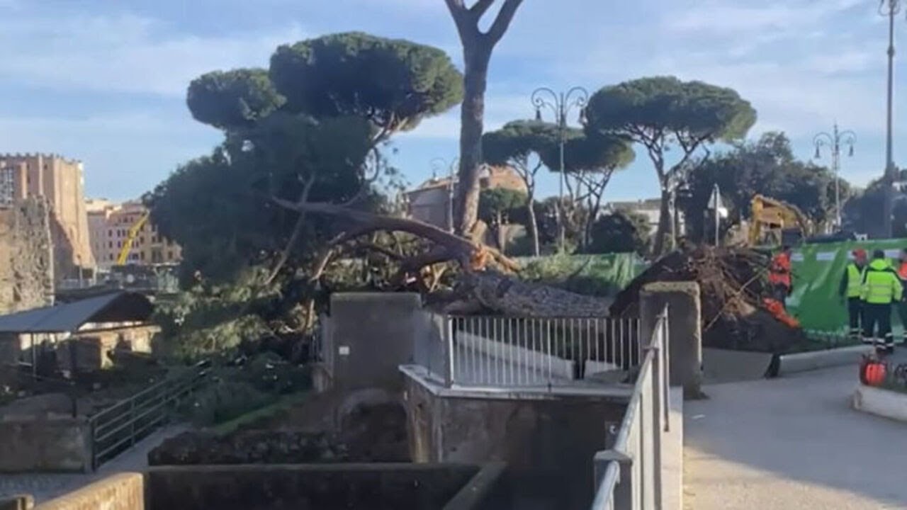 Roma, crolla un altro albero ai Fori Imperiali: tre feriti lievi