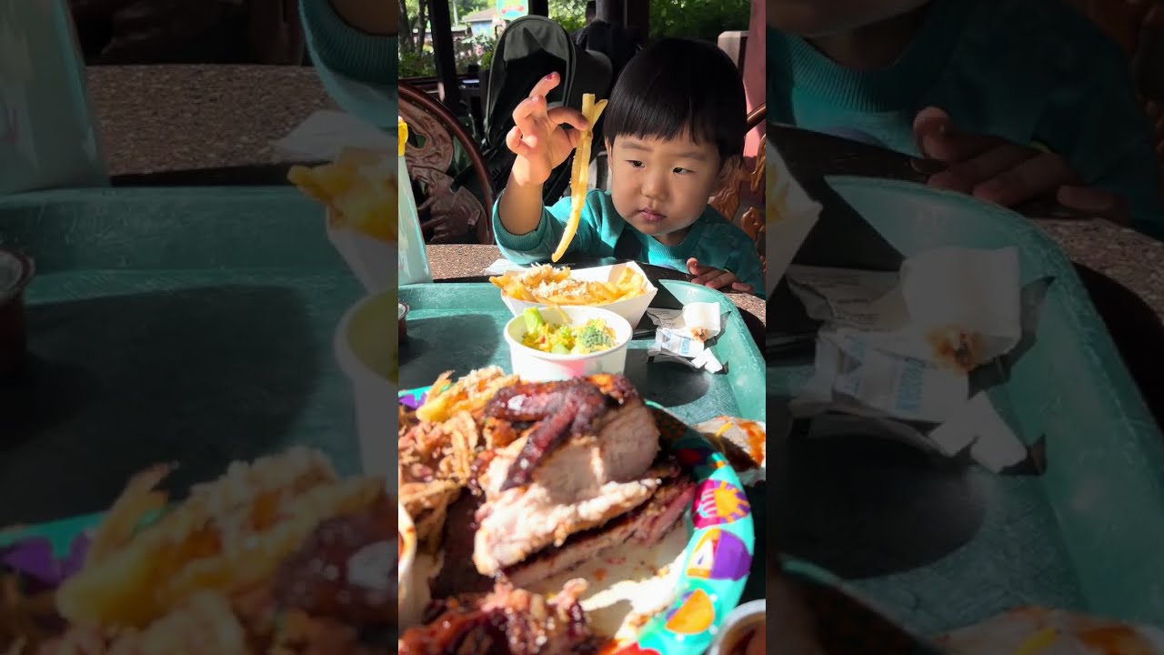 디즈니 애니멀 킹덤에서의 오후 | Afternoon at Disney's Animal Kingdom