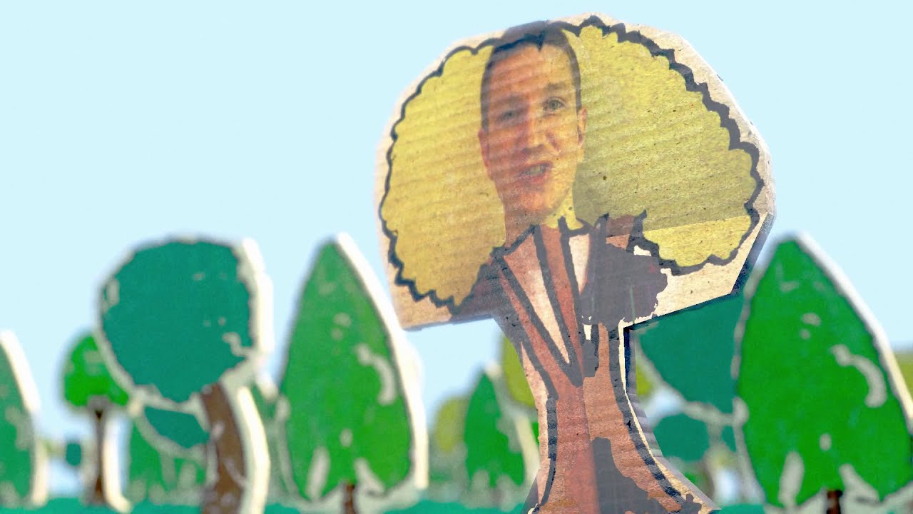 Gecko - Climbing Frame (Official Video)