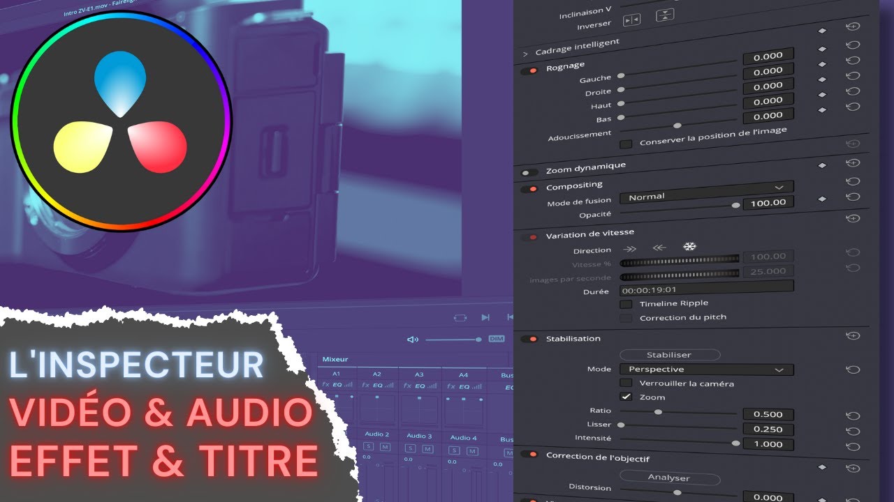 L'inspecteur Davinci Resolve 18 en détail