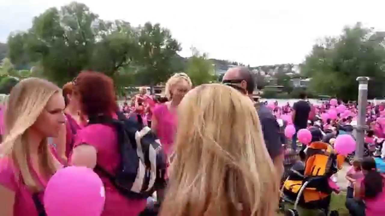 Avon pochod 2014, Sobota 14.6.2014, 2/2