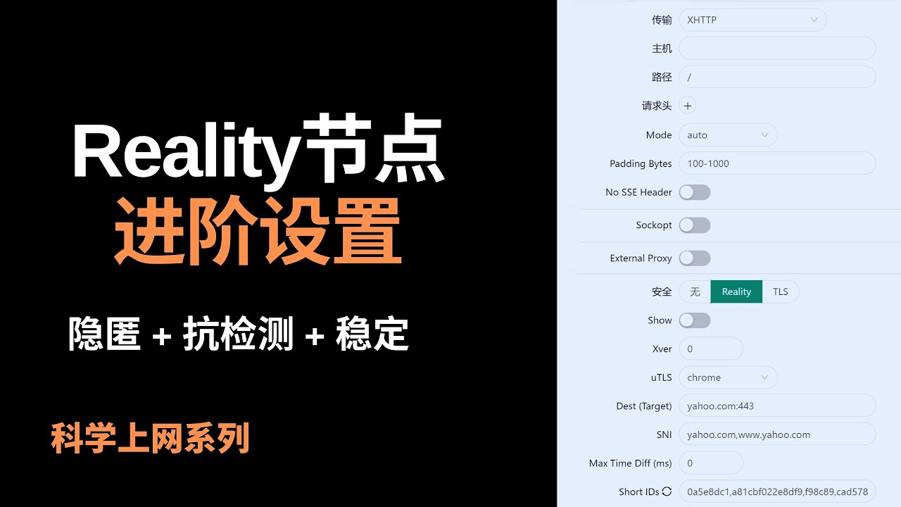 Xray Reality节点进阶设置：x-ui面板详细参数讲解，轻松搭建高效科学上网环境，实现隐匿 + 抗检测 + 稳定最强的伪装效果，极大限度降低被墙的概率#一瓶奶油
