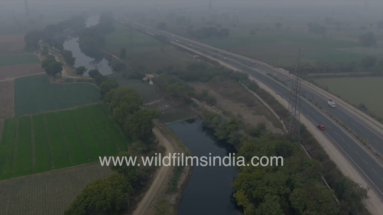Cauliflower fields and canal landscape near Najafgarh Delhi