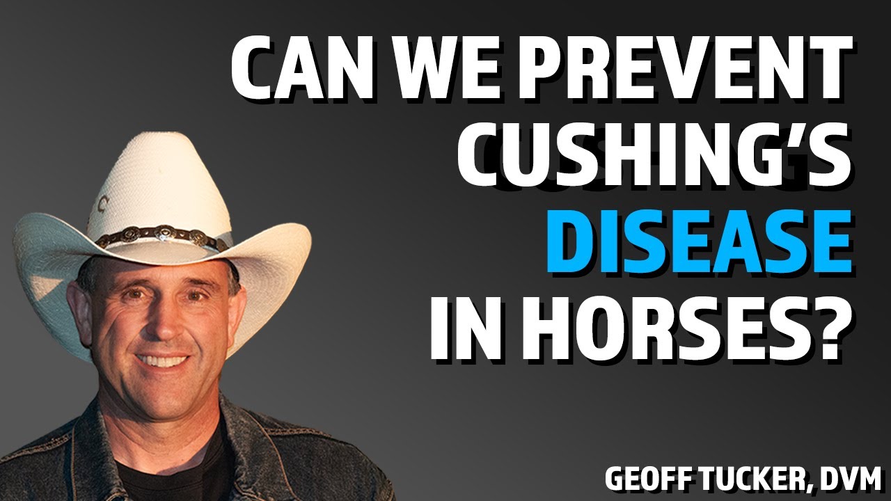 Find Our What Really Causes Cushing's Disease In Horses with Geoff Tucker, DVM.